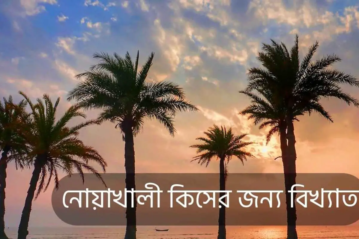 নোয়াখালী কিসের জন্য বিখ্যাত ও দর্শনীয় স্থান ২০২৫