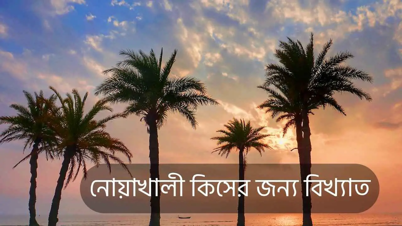 নোয়াখালী কিসের জন্য বিখ্যাত