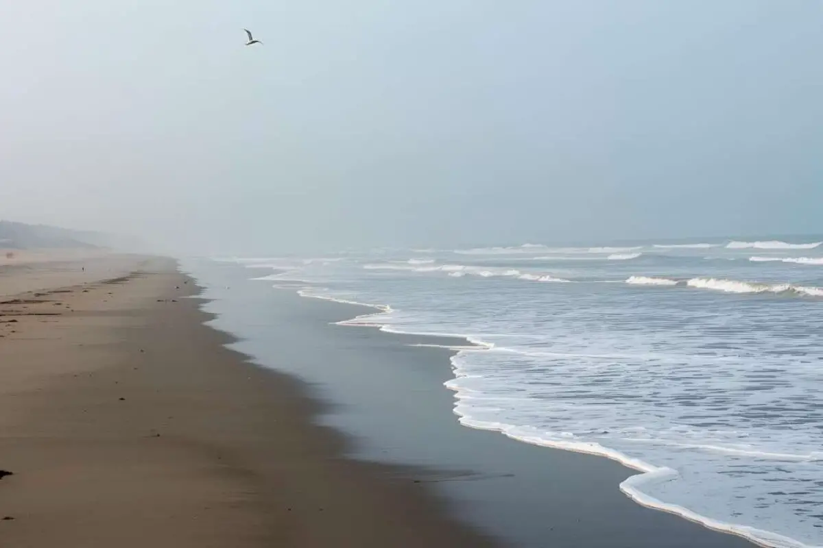 বিশ্বের দীর্ঘতম সমুদ্র সৈকত কক্সবাজার